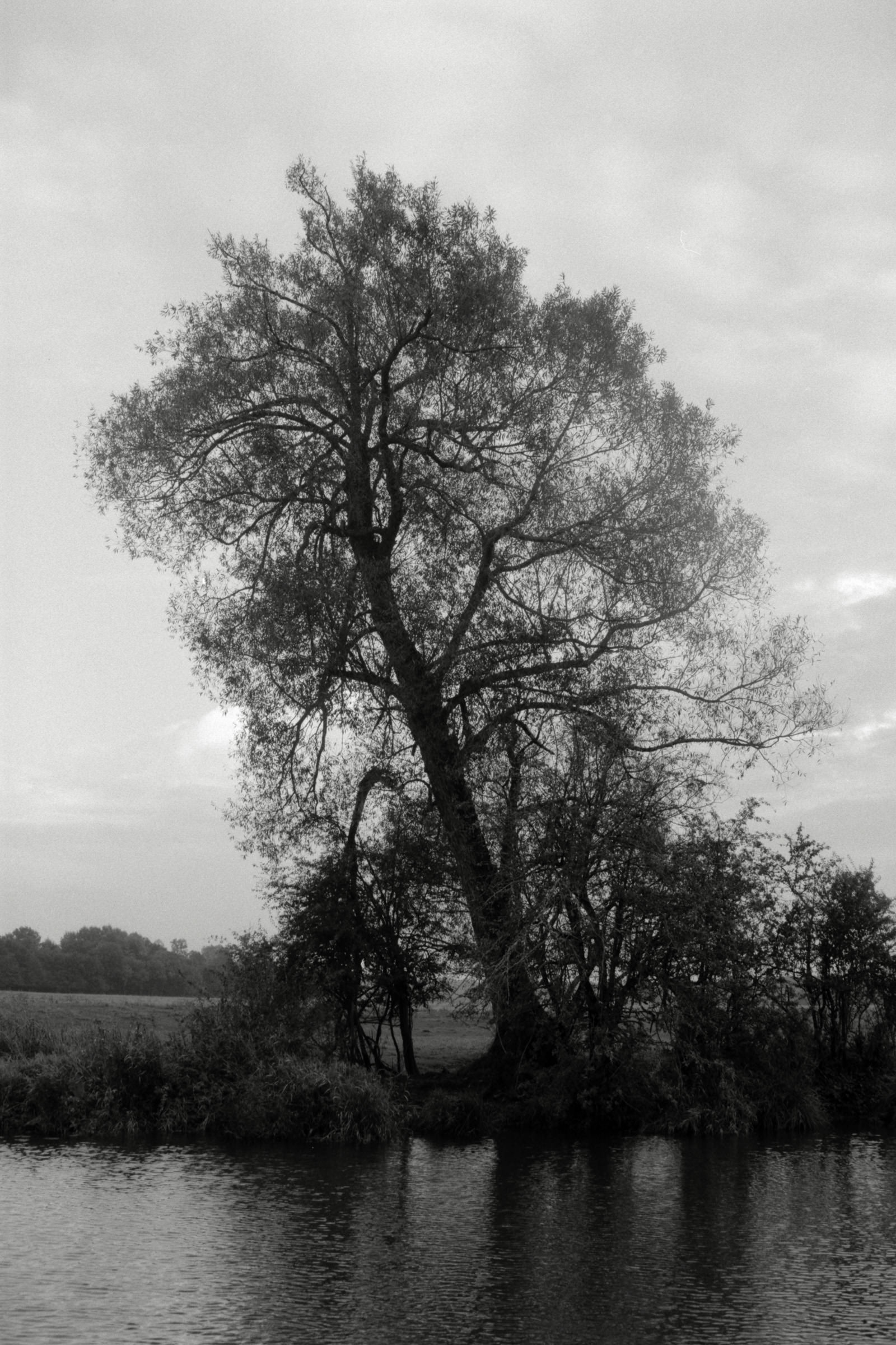 AHP F1990 09 005 sc250506 img21 NLP